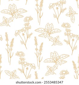 Seamless pattern with hand drawn herbs. Mint, chamomile and lavender plants in beige color. Design for fabric, wrapping, prints