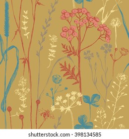 Seamless pattern with hand drawn herbs and flowers