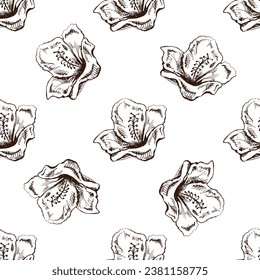 Seamless pattern of hand drawn hibiscus. Monochrome flower doodle. Black and white vintage element. Vector sketch. Detailed retro style.