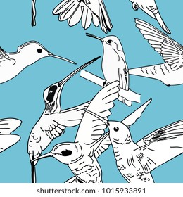 Seamless pattern hand drawn Humming Bird colorful vector illustration.
