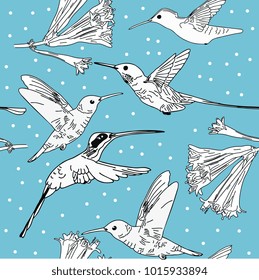 Seamless pattern hand drawn Humming Bird colorful vector illustration.