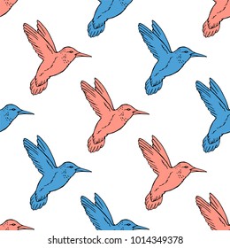 Seamless pattern with hand drawn hummingbird. Vector illustration