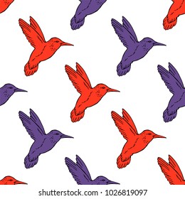 Seamless pattern with hand drawn hummingbird. Vector illustration