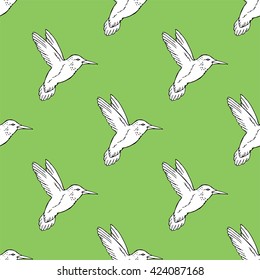 Seamless pattern with hand drawn hummingbird. Vector illustration