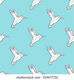 Seamless pattern with hand drawn hummingbird. Vector illustration