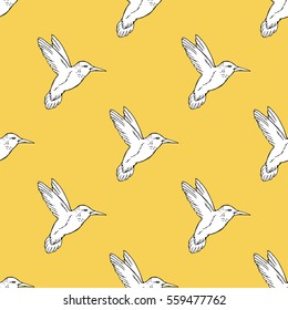 Seamless pattern with hand drawn hummingbird. Vector illustration