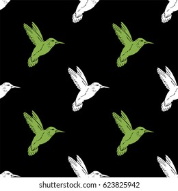 Seamless pattern with hand drawn hummingbird. Vector illustration