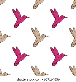 Seamless pattern with hand drawn hummingbird. Vector illustration