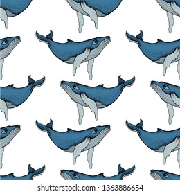 Seamless pattern with Hand drawn humpback whales. Vector with animal underwater. Illustration for wallpaper, web page background, surface textures, textile.