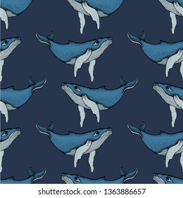 Seamless Pattern Hand Drawn Humpback Whales Stock Vector (Royalty Free ...