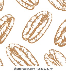 Seamless pattern. Hand drawn illustration of pecans and nutshells. Handwritten graphic technique