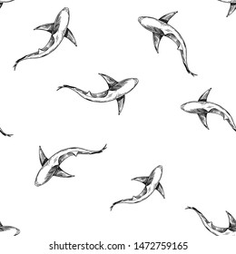 Seamless pattern with hand drawn illustrations of shark. Vector with transparent background