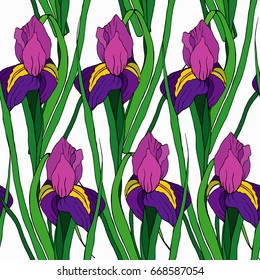 Seamless pattern with a hand drawn iris