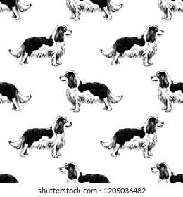 Nahtloses Muster mit handgezeichnet König Charles Spaniels. Vektorgrafik im Retro-Stil
