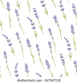 Seamless pattern with hand drawn lavender flowers . Hand drawn design for Thank you card, Greeting card or Invitation. Vector illustration.