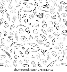 Seamless pattern Hand drawn leaves micro greens. Vector illustration in sketch, doodle style and silhouette of lines on a white background. Vitamin supplement, vegan food.
