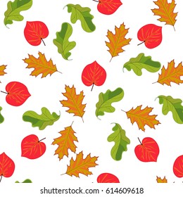 Seamless pattern with hand drawn leaves on white background. Oak, linden, hazel