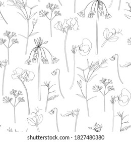 Seamless pattern with hand drawn line herbs and flowers on white background.