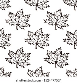 Seamless pattern with hand drawn maple leaves on white background. Suitable for packaging, wrappers, fabric design