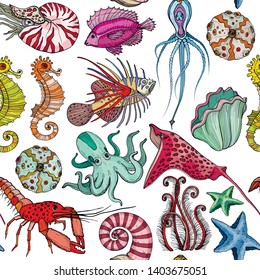 Seamless pattern with hand drawn marine life, vector illustration