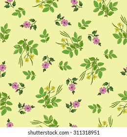 Seamless pattern with hand drawn medicinal plants. Vector herbal background.