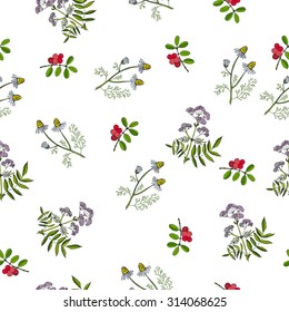 Seamless pattern with hand drawn medicinal plants. Vector herbal background.