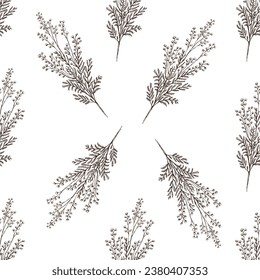 Seamless pattern of hand drawn mimosa. Monochrome flower doodle. Black and white vintage element. Vector sketch. Detailed retro style.