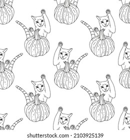 Seamless pattern with hand drawn monochrome pumpkins and jumping cat. White background. Autumn digital paper.