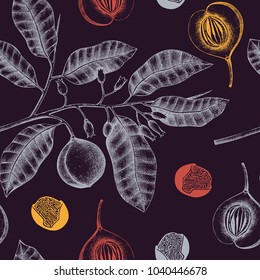 Seamless pattern with hand drawn nutmeg tree leaves, fruit and seeds. Vector background with spice plants. Aromatic and tonic elements illustration.