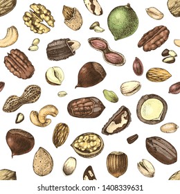 Patrón sin foco con nueces dibujadas a mano. Ilustración del vector