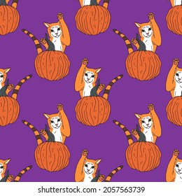 Seamless pattern with hand drawn orange pumpkins and jumping cat. Purple background. Autumn digital paper.