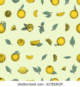 Seamless pattern of hand drawn oranges and slices in sketch style. Vector illustration