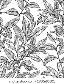 Seamless pattern, hand drawn outline black ink  leaves 