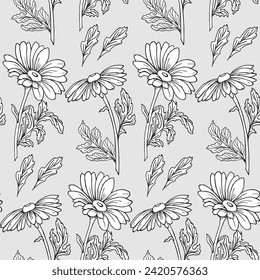 Seamless pattern, hand drawn outline echinacea flowers on a gray background. Background, print, textile, wallpaper, vector