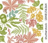 Seamless pattern with hand drawn pastel fern, dog rose, rowan, ginkgo, maple, oak, horse chestnut, chestnut, hawthorn