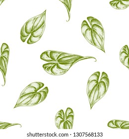 Seamless pattern with hand drawn pastel philodendron, banana leaves
