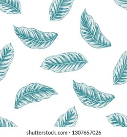Seamless pattern with hand drawn pastel calathea