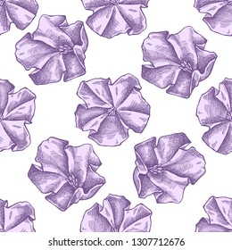 Seamless pattern with hand drawn pastel morning glory