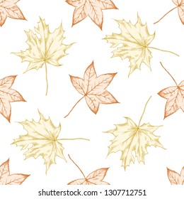 Seamless pattern with hand drawn pastel maple leaves