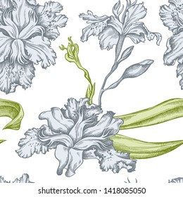 Seamless pattern with hand drawn pastel iris japonica