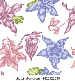 Seamless pattern with hand drawn pastel aquilegia