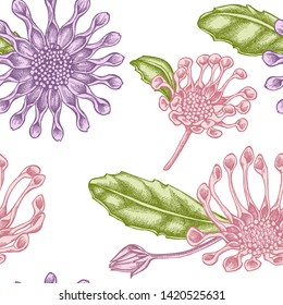 Seamless pattern with hand drawn pastel african daisies