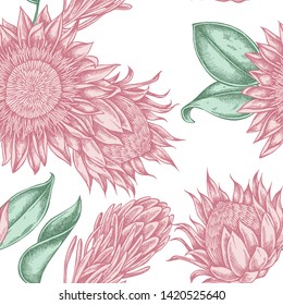 Seamless pattern with hand drawn pastel king protea