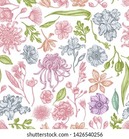 Seamless pattern with hand drawn pastel japanese chrysanthemum, blackberry lily, eucalyptus flower, anemone, iris japonica, sakura