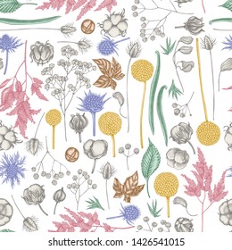 Seamless pattern with hand drawn pastel astilbe, craspedia, blue eryngo, lagurus, cotton, gypsophila