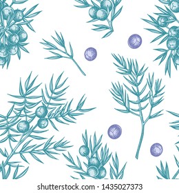 Seamless pattern with hand drawn pastel juniper
