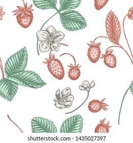 Seamless pattern with hand drawn pastel strawberry
