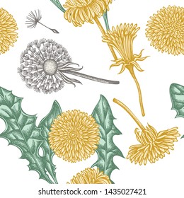 Seamless pattern with hand drawn pastel dandelion