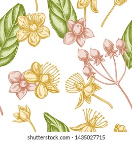 Seamless pattern with hand drawn pastel hypericum