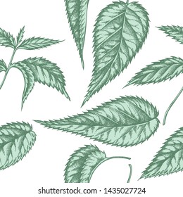 Seamless pattern with hand drawn pastel nettle